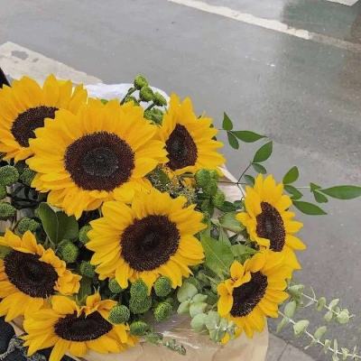 半岛综合娱乐appapp下载