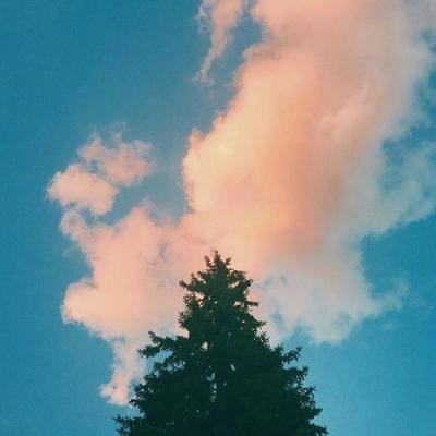 PG电子游戏下载