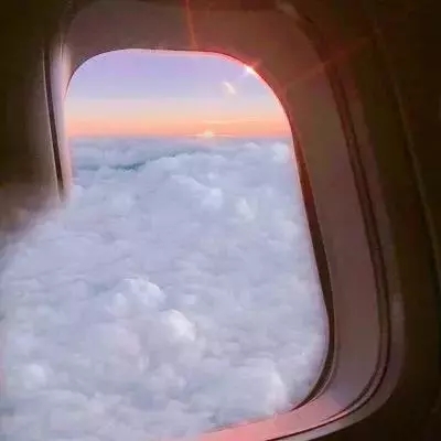 BOB体育综合官方APP下载8