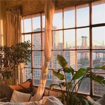 博鱼·体育中国官方网站