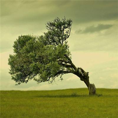 博喜体育官网下载