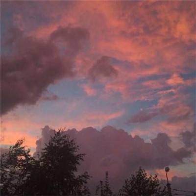 宝威体育下载手机版截图