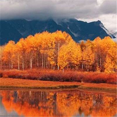 金沙8888js官方下载手机版