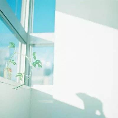 kok最新客户端app下载