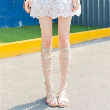 半岛综合娱乐appapp下载